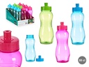 Cantimplora 550ml surtida en 3 colores, ideal para tus aventuras