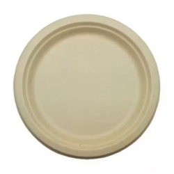Plato Plástico Crema Llano 22cm